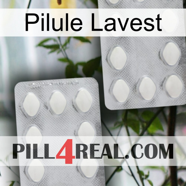 Lavest Pill 17